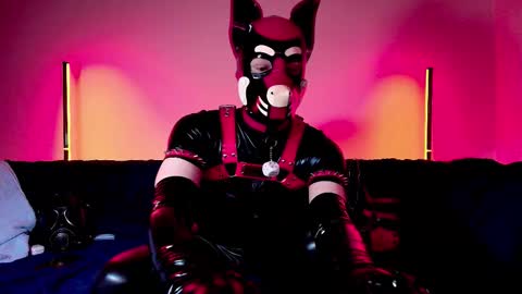 Snapshot of k9_goodboy chatting on February 2026 07:12:01 PM Alex online show from February 2026 07:12:01 PM