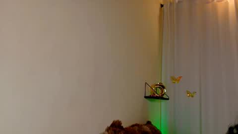 Kaaiiri online show from March 2026 08:42:01 AM