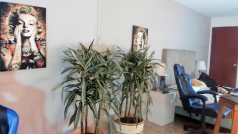 kai_storn online show from April 2026 05:30:01 PM