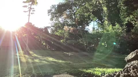 Kailee Smile online show from September 2025 03:28:01 AM