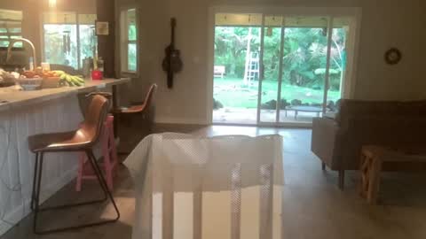 Kailee Smile online show from October 2025 03:56:01 AM