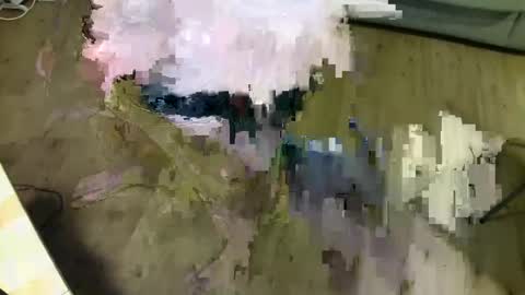 Snapshot of kalem48 chatting on January 2025 10:48:01 PM MusicMen49 online show from January 2025 10:48:01 PM