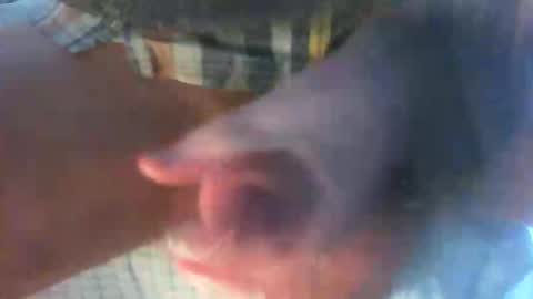 kamabo2 online show from April 2026 05:35:01 PM