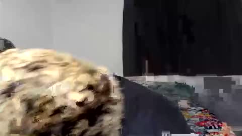 kammy   y   camila online show from April 2026 12:54:02 AM