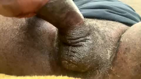 Snookie online show from January 2025 11:04:02 AM