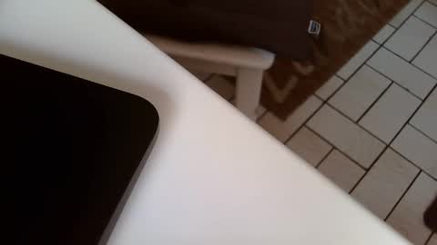 Snapshot of karlodi chatting on February 2025 11:47:02 AM Kev online show from February 2025 11:47:02 AM