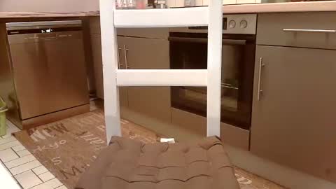 Snapshot of karlodi chatting on February 2025 05:04:02 PM Kev online show from February 2025 05:04:02 PM