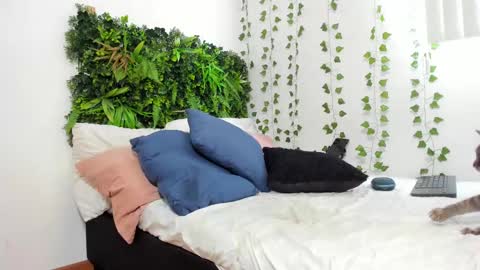 Karlye online show from February 2025 05:54:01 PM