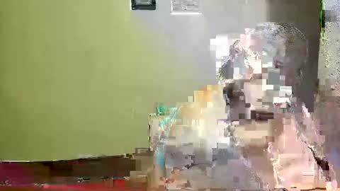 Karol online show from May 2026 02:28:02 AM