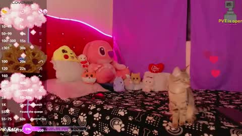 karol online show from November 2025 11:25:02 AM