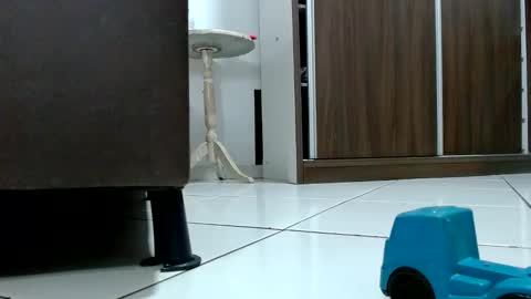 Snapshot of kasaltaradinho chatting on October 2025 08:29:02 PM Tamires e Maicon online show from October 2025 08:29:02 PM