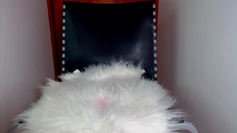 Snapshot of katalinaferreirax chatting on December 2024 08:54:02 PM katalinaferreirax online show from December 2024 08:54:02 PM