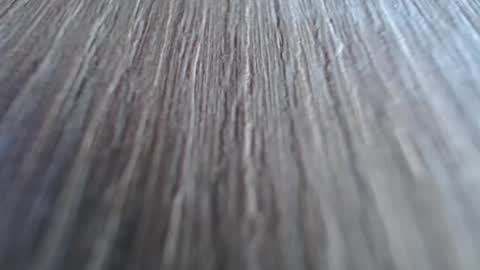 Snapshot of katalleya28 chatting on December 2024 09:56:02 AM Katalleya online show from December 2024 09:56:02 AM