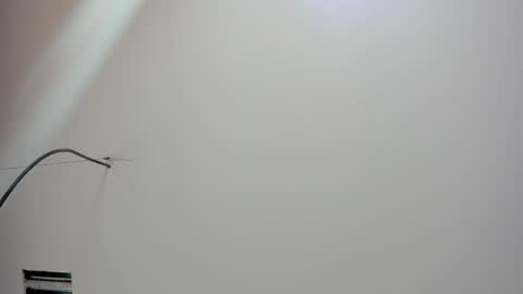 Snapshot of kate_bunny_ chatting on February 2026 12:01:02 PM Kate online show from February 2026 12:01:02 PM