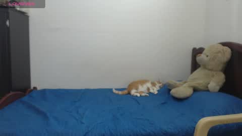 kate_leex online show from June 2026 06:53:02 PM
