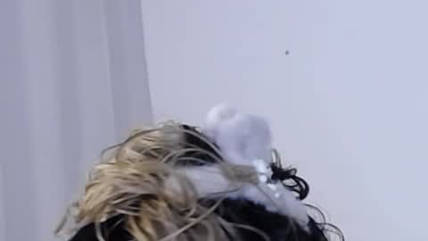 Help me with rate thanks  online show from December 2024 03:35:01 AM