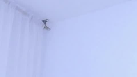 Help me with rate thanks  online show from January 2026 02:58:02 AM