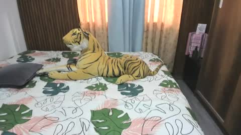 kata online show from June 2026 12:36:01 PM