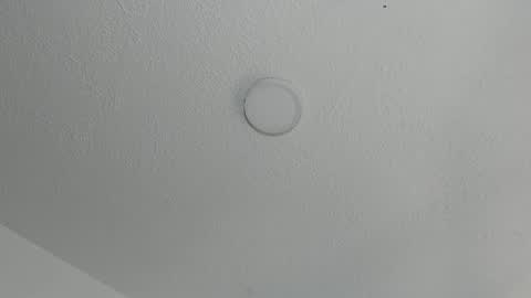 love meeee online show from January 2025 02:41:01 PM