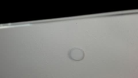 love meeee online show from January 2025 04:26:01 PM