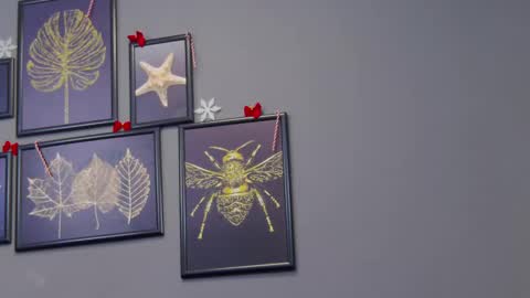 Kate online show from December 2024 12:23:01 AM