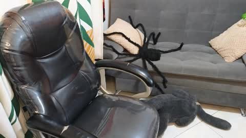 Snapshot of kathie_lozada chatting on October 2025 06:17:01 AM kathie_lozada online show from October 2025 06:17:01 AM