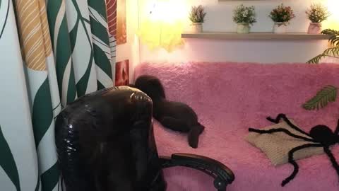 Snapshot of kathie_lozada chatting on October 2025 06:03:02 AM kathie_lozada online show from October 2025 06:03:02 AM