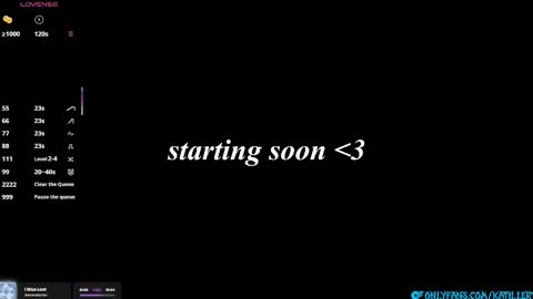 Snapshot of katillery chatting on January 2026 05:39:01 PM Katie online show from January 2026 05:39:01 PM