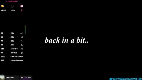 Snapshot of katillery chatting on February 2026 05:20:02 PM Katie online show from February 2026 05:20:02 PM