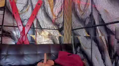 kati online show from June 2026 08:18:01 PM