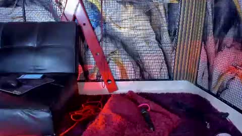 kati online show from June 2026 08:25:02 AM