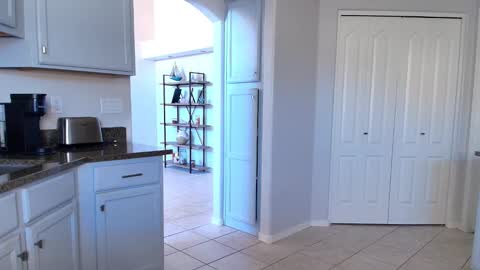 Kat online show from February 2026 06:36:02 PM