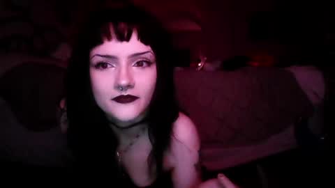 kattattacck online show from May 2026 09:17:02 AM