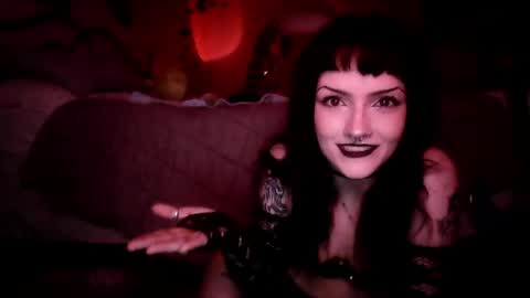kattattacck online show from May 2026 10:11:02 AM