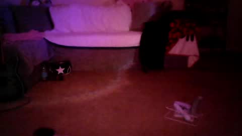 kattattacck online show from June 2026 05:19:02 AM