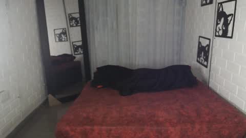 Snapshot of kattia_23 chatting on February 2025 12:40:02 AM kattia online show from February 2025 12:40:02 AM