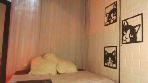 Snapshot of kattia_23 chatting on February 2025 09:31:01 PM kattia online show from February 2025 09:31:01 PM