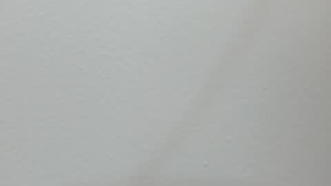 katy blonde girl and paola big boobs online show from February 2025 07:21:01 PM