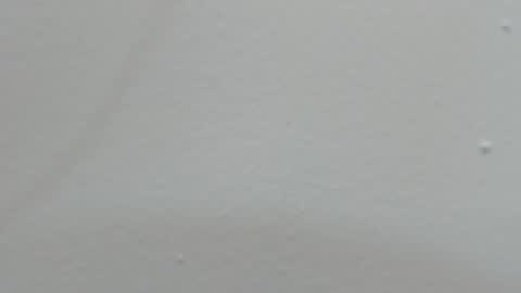 katy blonde girl and paola big boobs online show from February 2025 07:44:01 PM