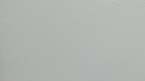 katy blonde girl and paola big boobs online show from September 2025 07:28:01 PM