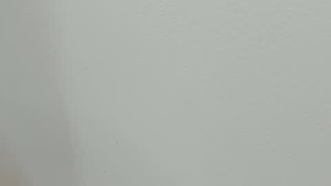 katy blonde girl and paola big boobs online show from October 2025 07:43:01 PM