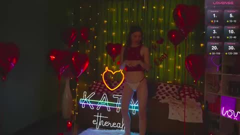 Snapshot of katy_ethereal chatting on February 2025 03:58:02 AM Katy - online show from February 2025 03:58:02 AM