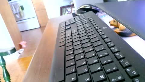 kawa98karbu online show from June 2026 12:44:02 PM