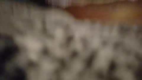 kawaiibabypie online show from May 2026 08:31:01 AM