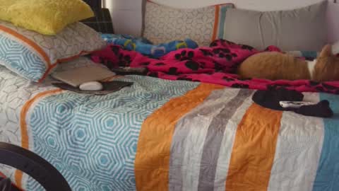  Khawit  online show from September 2025 12:15:01 PM