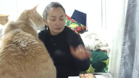  Khawit  online show from January 2026 04:17:01 AM