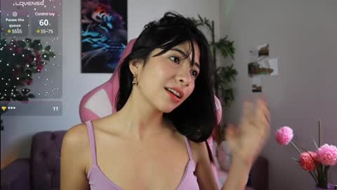   online show from December 2024 05:08:01 PM