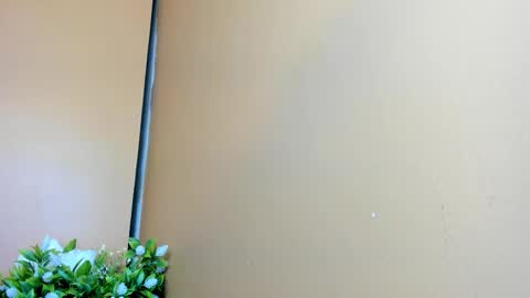 keisy_sanchez online show from February 2026 11:06:02 AM