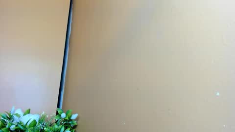 keisy_sanchez online show from February 2026 11:11:01 AM