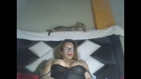 Snapshot of kelly_alisset chatting on September 2025 05:55:02 AM kelly_alisset online show from September 2025 05:55:02 AM